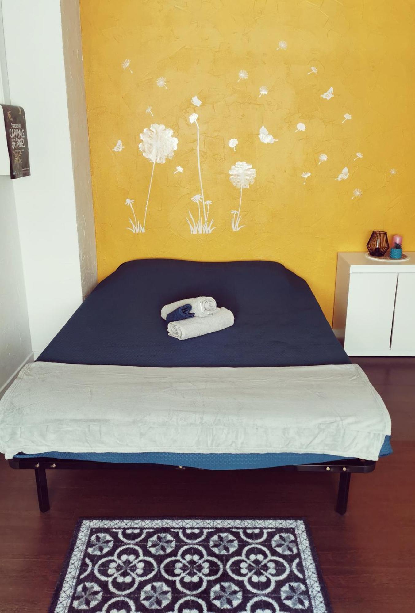 Cozy Appartement Straatsburg